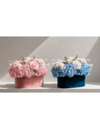 Premium Roses Catalogue 2026