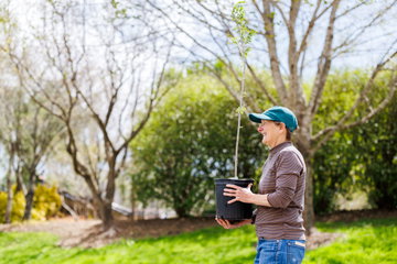 Plant Trees for Employees