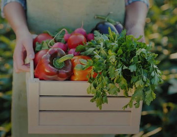 Organic Ingredients Supplier in Lake Zurich, IL