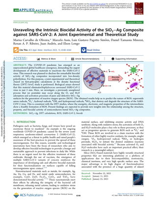 Unraveling the Intrinsic Biocidal Activity of the SiO2–Ag Composite against SARS-CoV-2: A Joint Experimental and Theoretical Study