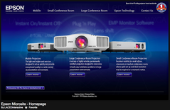 Internet: Websites, MicroSites, Experience Websites, etc..