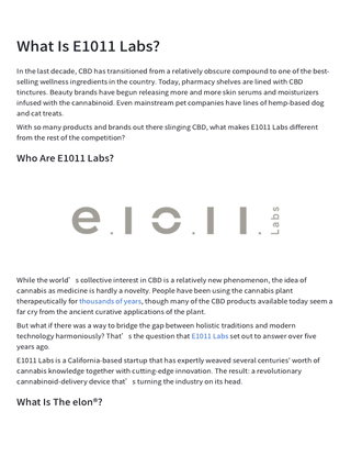 What is E1011 Labs?