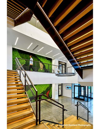 Garden on the Wall Biophilia @ The Core of Learning