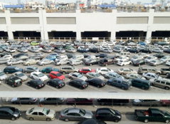 Company Fleet & Dealership