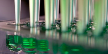 Pre-Employment Drug Testing and Occupational Healthcare