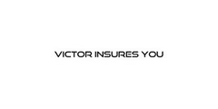 VICTOR INSURES YOU LLC