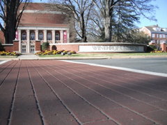 Stamped Asphalt