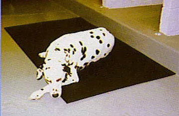Rubber Matting