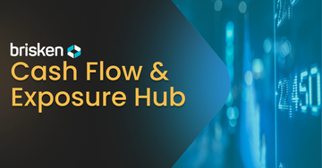 Brisken OnePilot - Cash Flow & Exposure Hub: A Central Control Unit for Your Cash Flow and Exposure