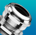 Cable Glands