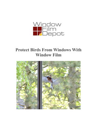 Protect Birds From Windows With Window Film