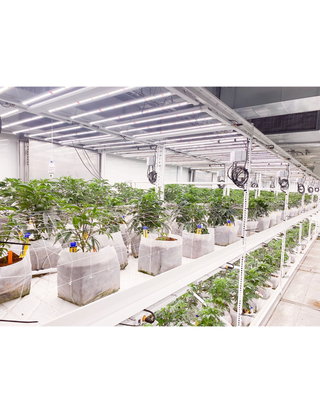Why a Modular Grow Facility