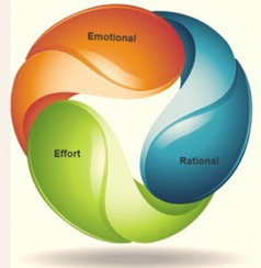 Customer Experience (CX) Snapshot 