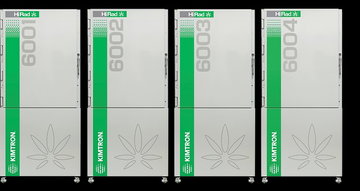 Cannabis decontamination systems