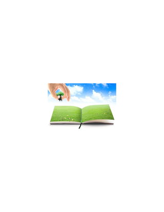 The Learning Ecosystem The Learning Ecosystem & How It Impacts Your Organization's Training Needs