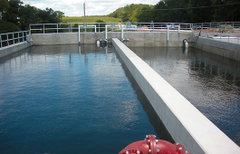 ISAM™ Integrated Surge Anoxic Mix
