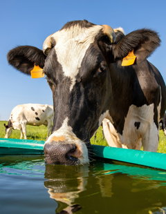 Mammoth-Strong Solutions for Modern Agriculture: Highlights from TUSK Molding