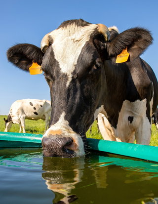 Mammoth-Strong Solutions for Modern Agriculture: Highlights from TUSK Molding
