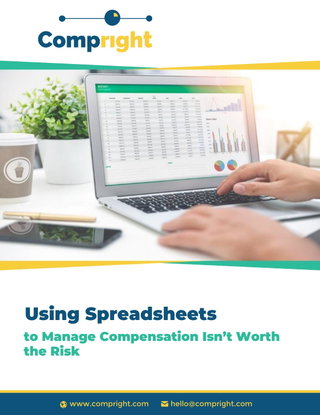 Using Spreadsheets to Manage Compensation Isn't Worth the Risk