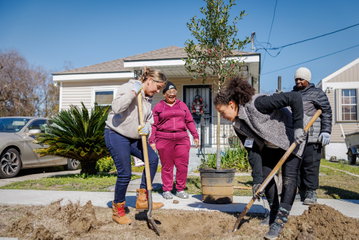 Employee Tree Planting and Distribution Events