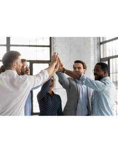 Team coaching exec team