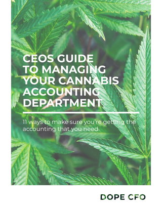 Ebook for CEO