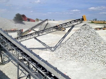 2025 Earthworm Conveyors 48X60