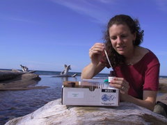 Environmental Nitrate Test Kit