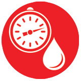 Compressor Oil