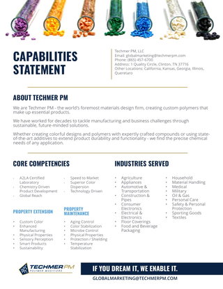 Techmer PM's Capabilities Statement 