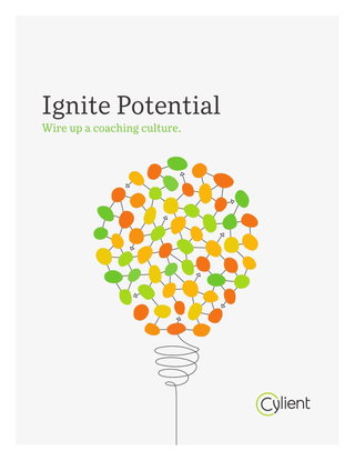 Brochure: Cylient's Suite of Services