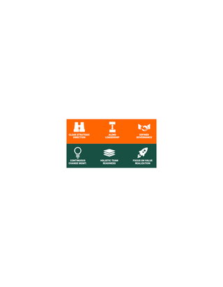 Holistic approach to successfully Plan, Execute, and Sustain a Transformation