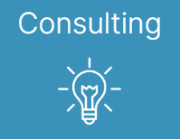Consulting Services