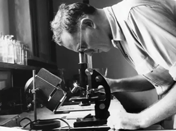 Chemical Imaging and Mapping