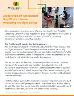 Leadership Self-Assessment Only Works If You're Measuring the Right Things
