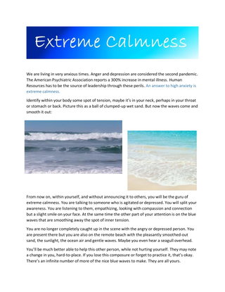An Answer to High Anxiety is Extreme Calmness.