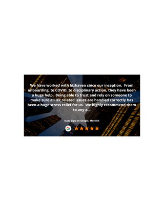 Bizhaven Client Review