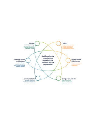 Blue Beyond Company Fact Sheet