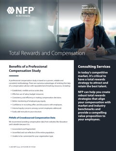 Overview of NFP Compensation Consulting Services