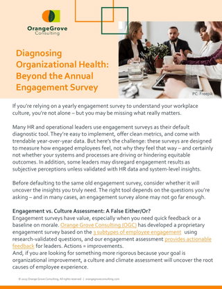 Diagnosing Organizational Health: Beyond the Annual Engagement Survey