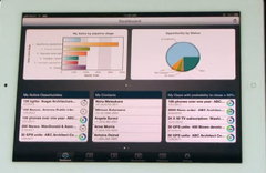 Pivotal CRM for Capital Markets