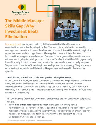 The Middle Manager Skills Gap: Why Investment Beats Elimination