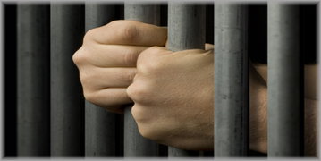 Criminal Record and Background Check Services