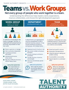 Team versus Work Group