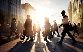 Enterprise Risk Management Consulting
