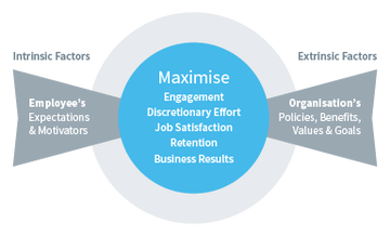 Employee Engagement Assessments