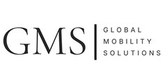 Global Mobility Solutions Inc.