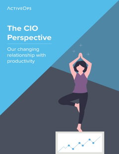 The CIO Perspective