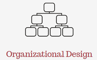 Organizational Design