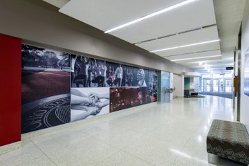 Environmental Graphic Design